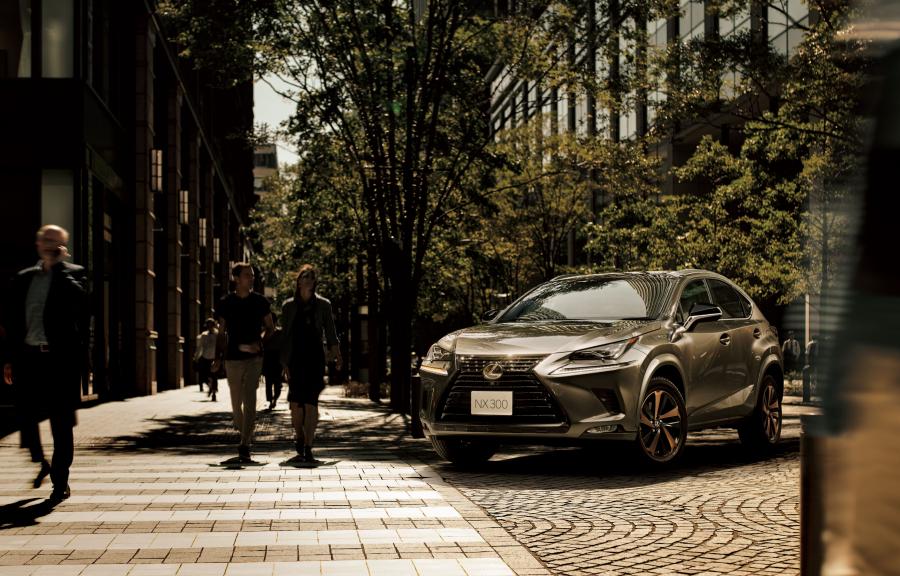  Lexus NX300 Bronze Edition 2020 года  (JP) (фото 1 из 12)